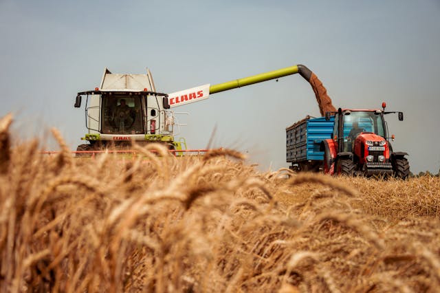 Govt Eases Wheat Export Curbs to Boost Shipments